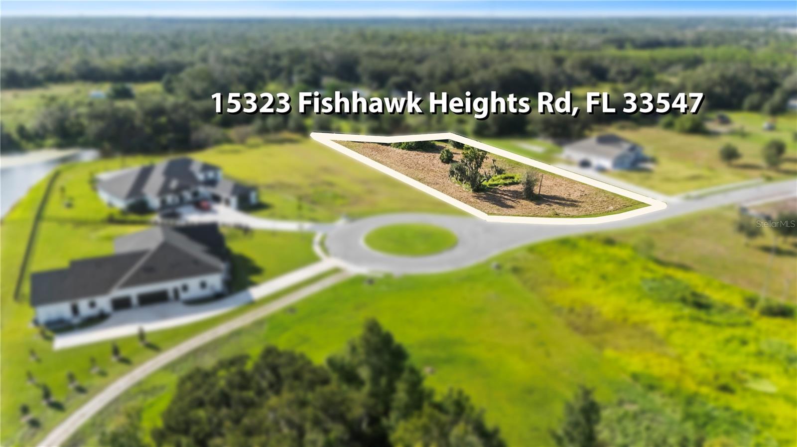 15323 FISHHAWK HEIGHTS RUN — photo 2