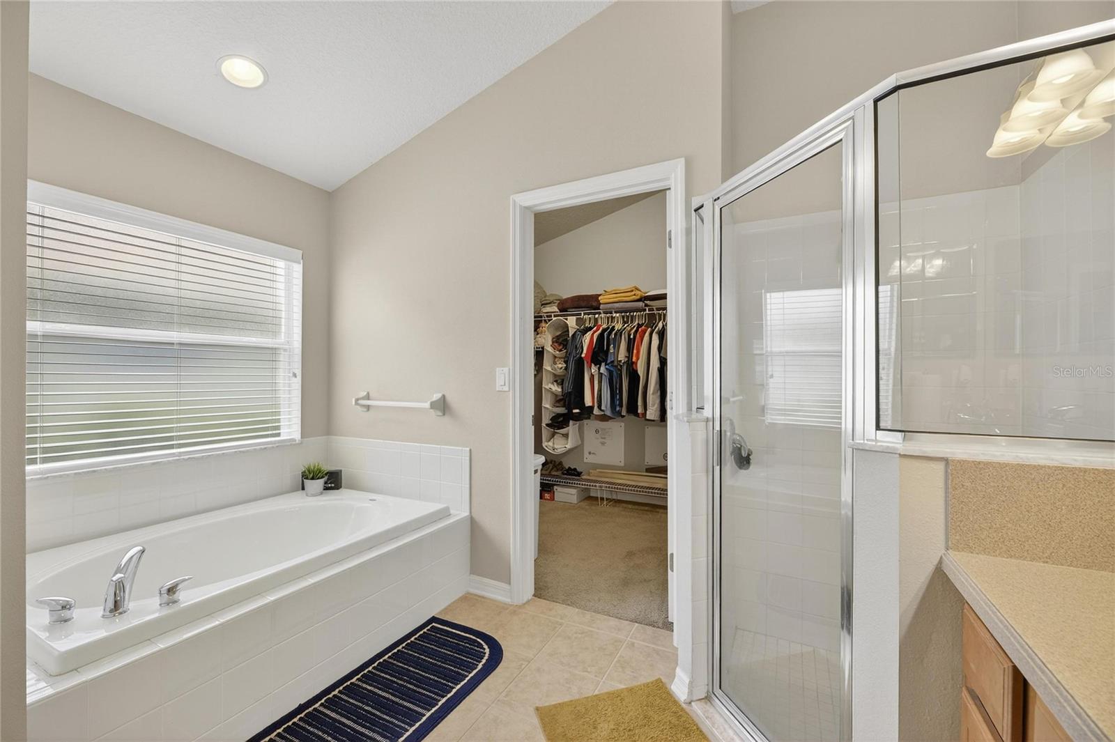 424 DOWN PINE DR — photo 22
