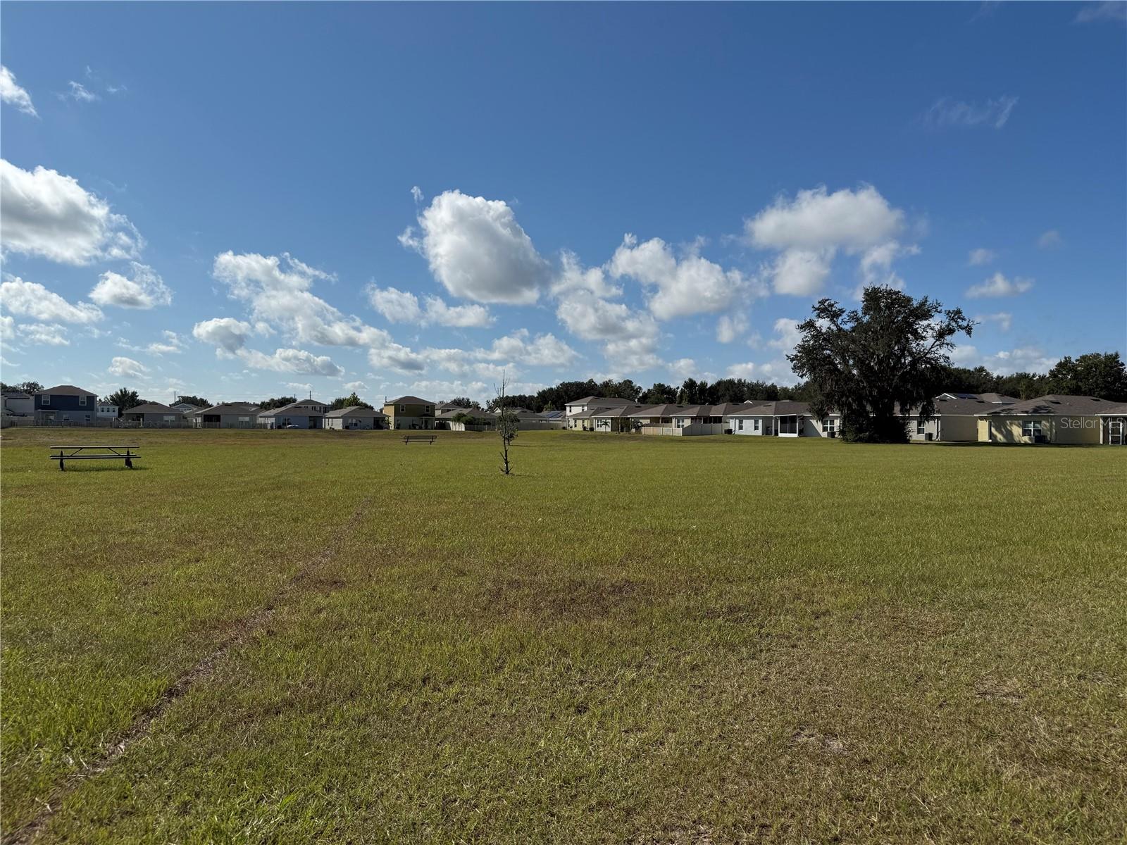 35147 JOMAR AVE — photo 19