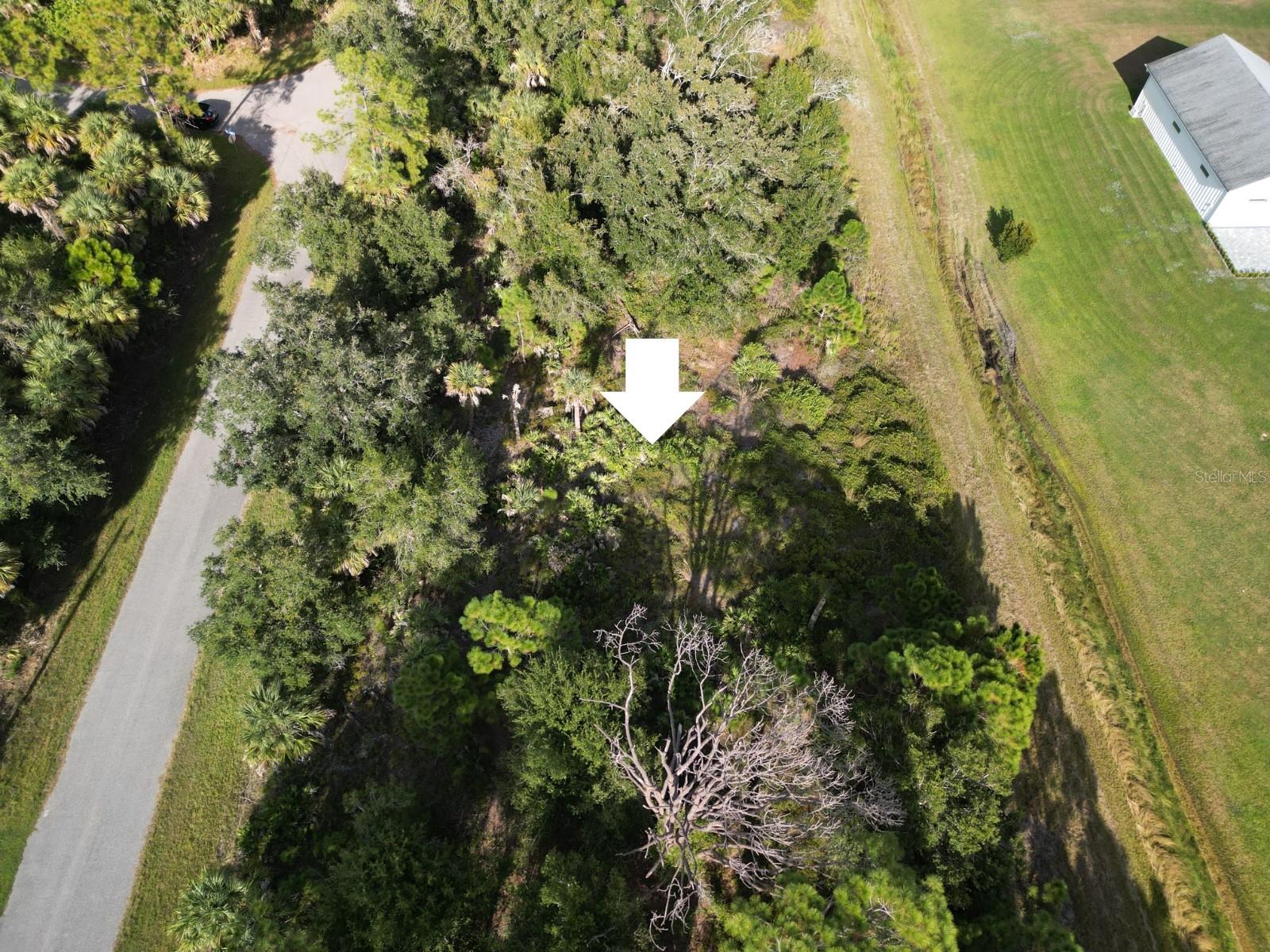 0 CELEST ST — photo 4