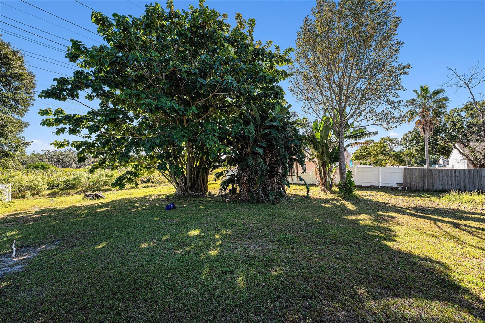 645 TIMBER BAY CIR E — photo 29