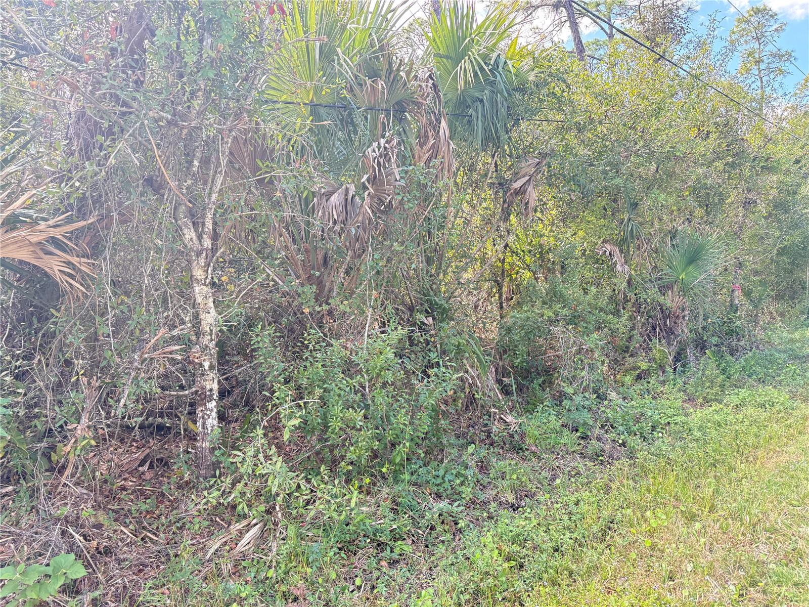 COBBLER LN — photo 2