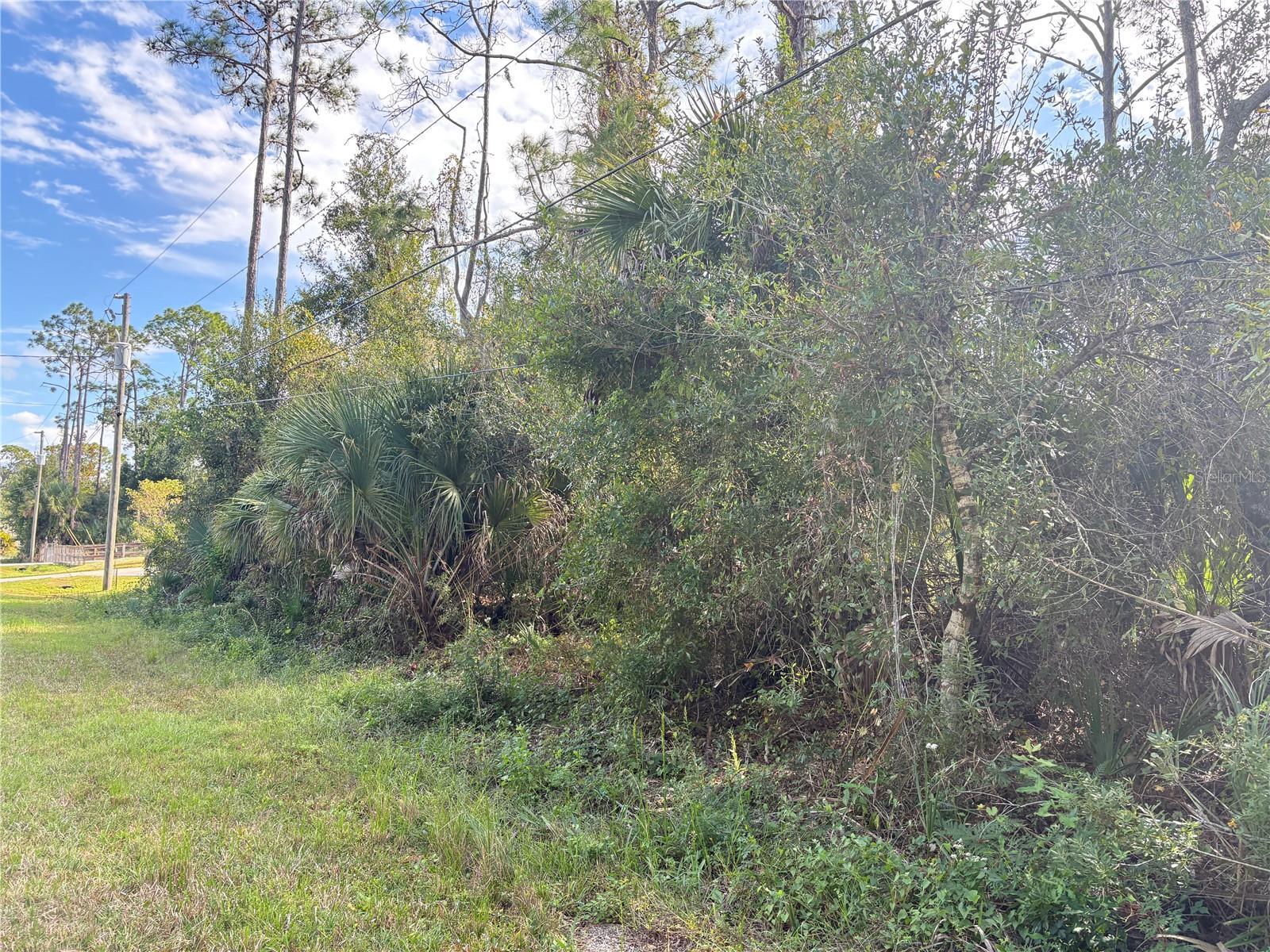COBBLER LN — photo 5