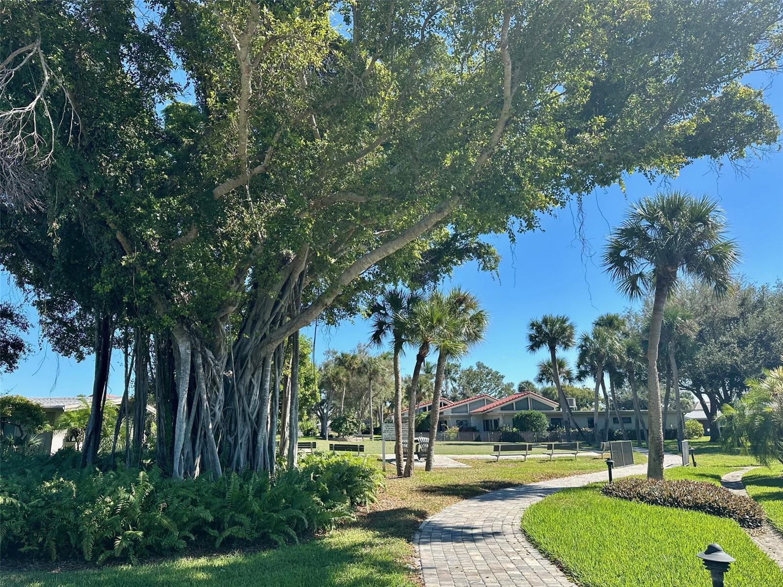 500 PARK BLVD S #46 — photo 17