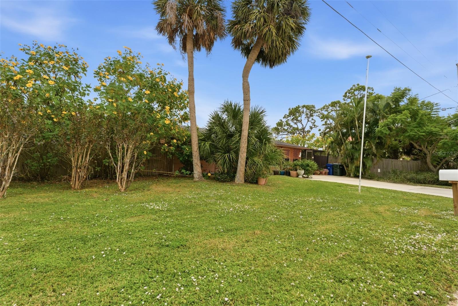 857 PALMETTO ST — photo 35