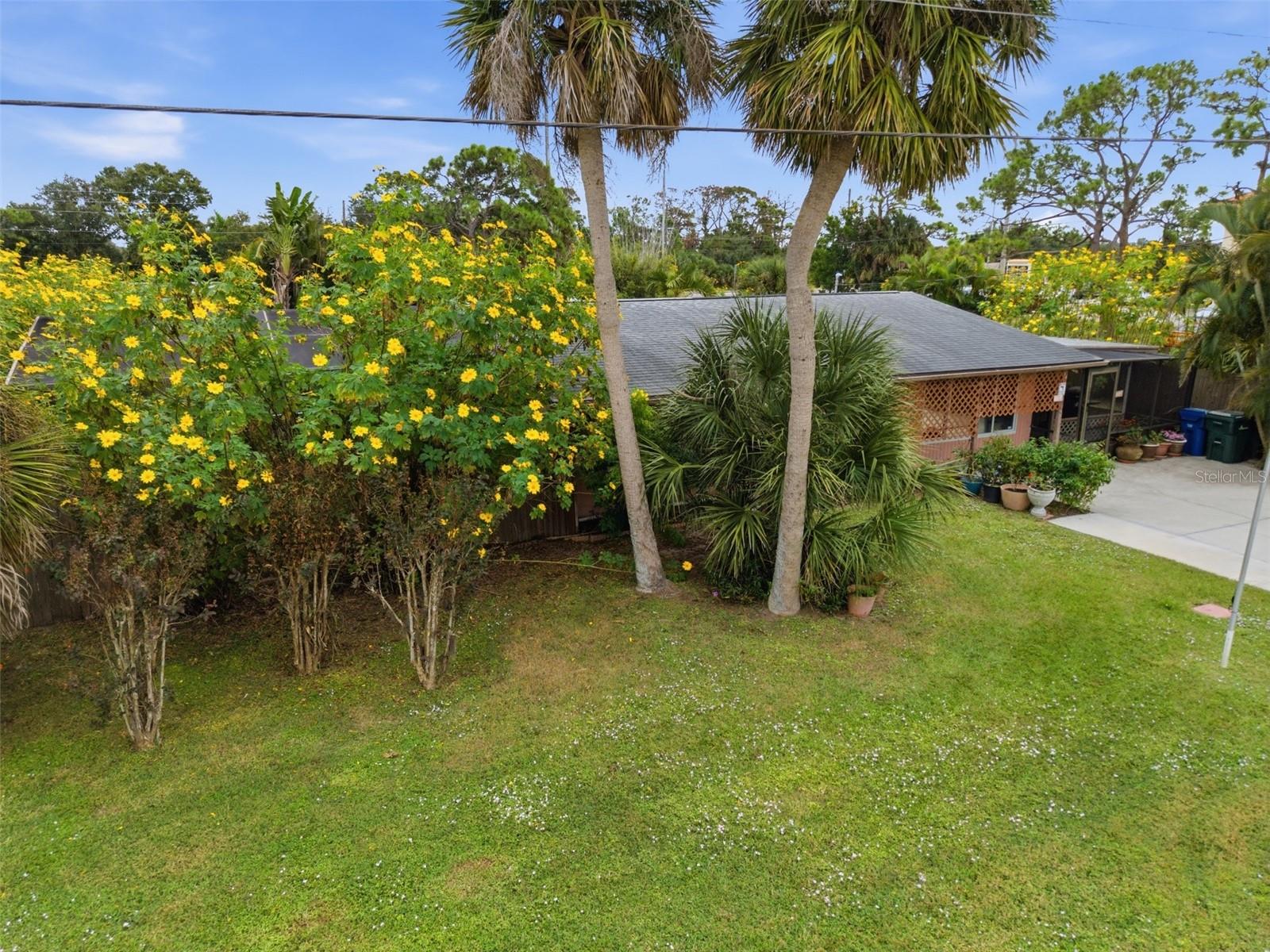 857 PALMETTO ST — photo 38