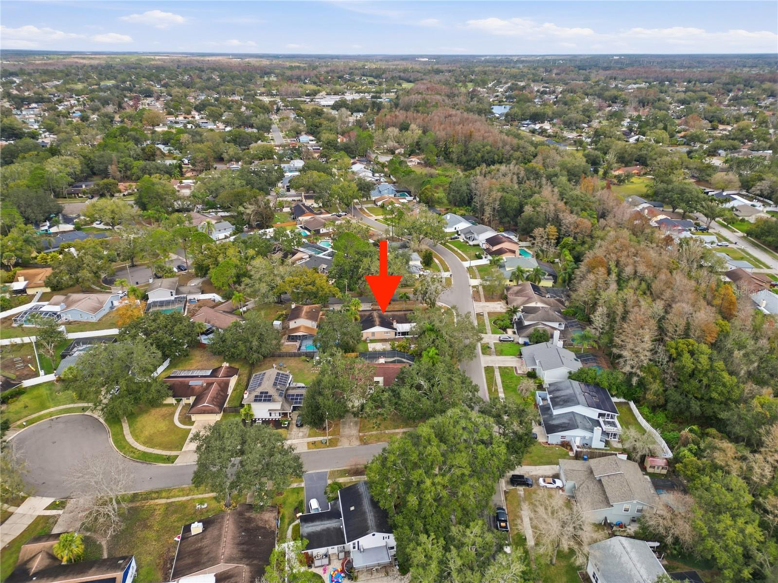 4602 BUCKEYE RD — photo 36