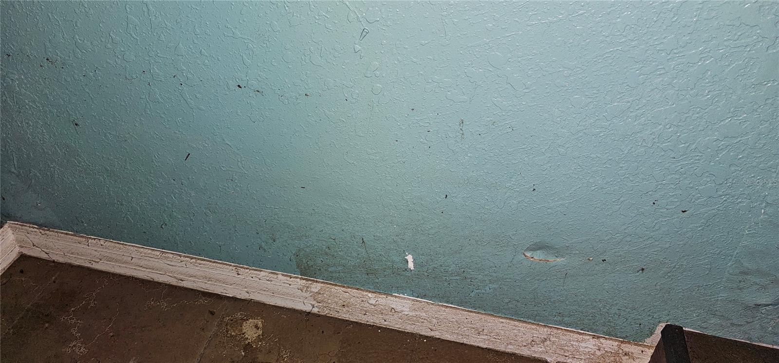37332 STATE ROAD 54 — photo 24