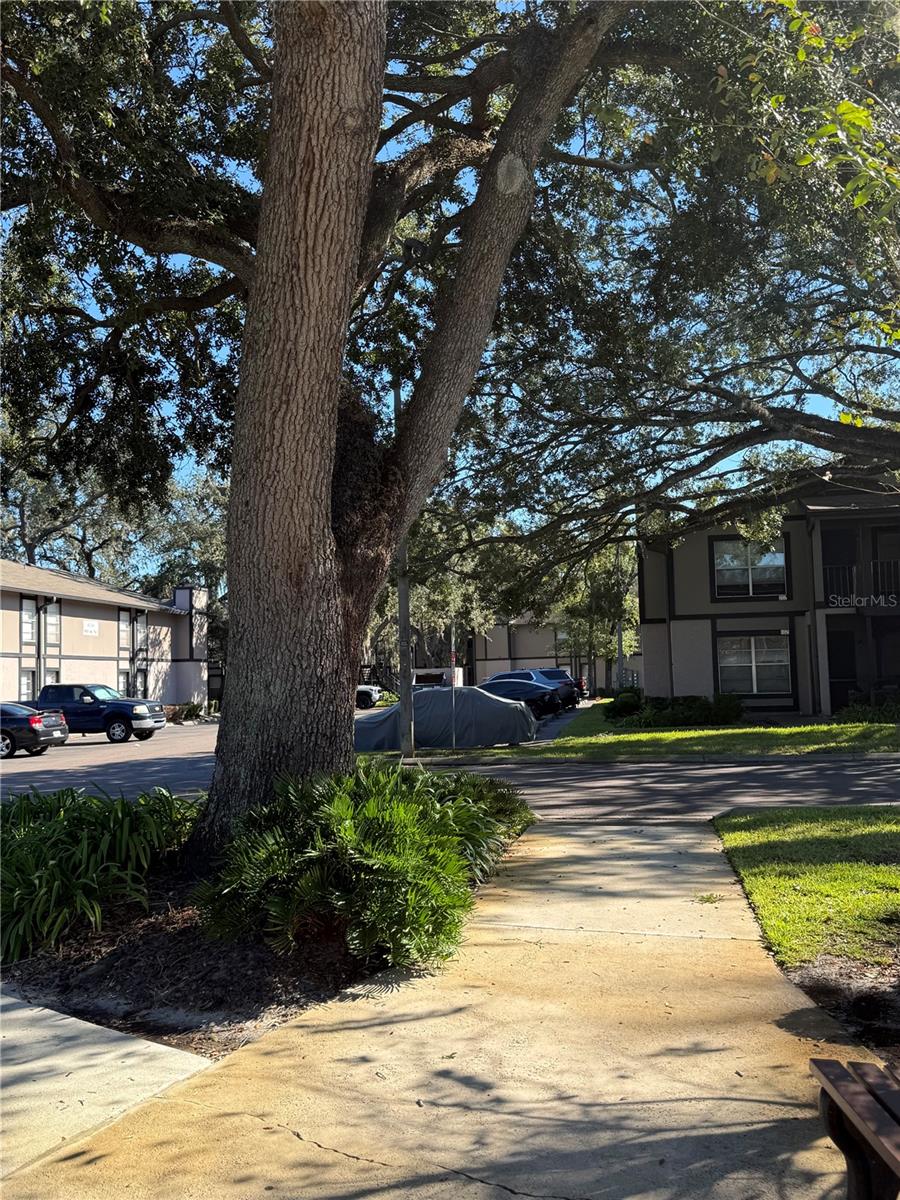 4025 ANGEL OAK CT #103 — photo 44