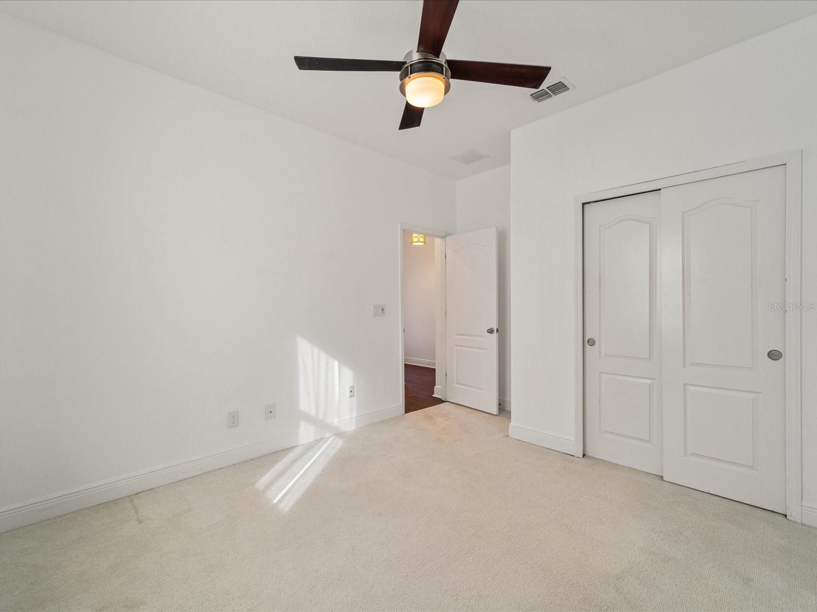 805 MOLLY — photo 23