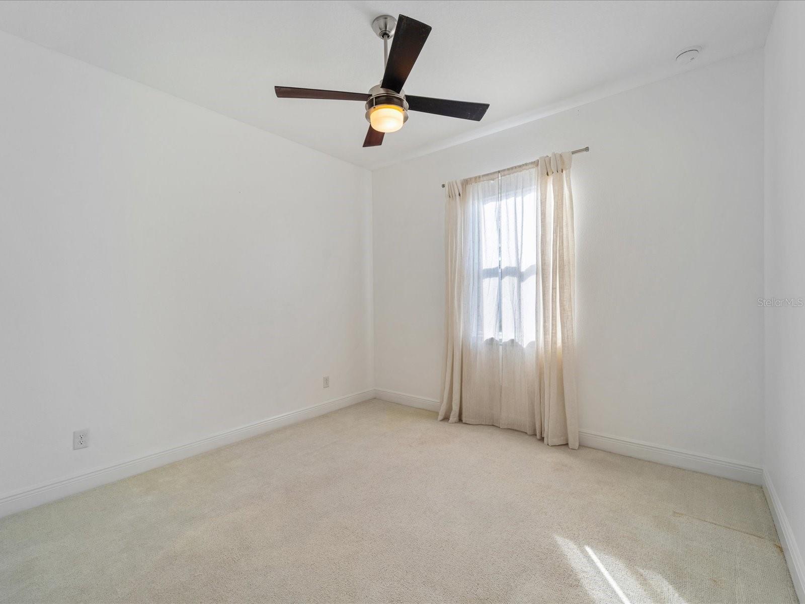 805 MOLLY — photo 20