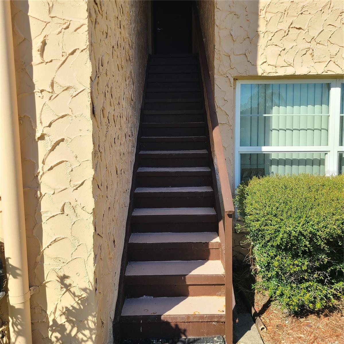 220 BUTTONWOOD CIR #220 — photo 46