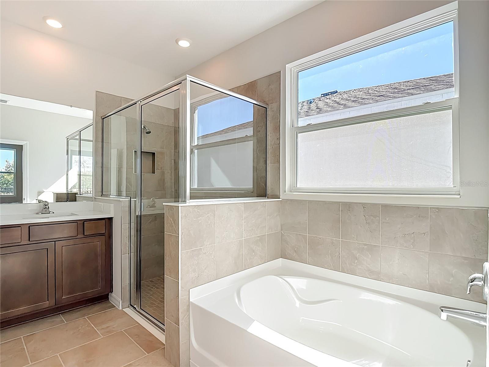 10471 BRIDGEGATE HEIGHTS LOOP — photo 12