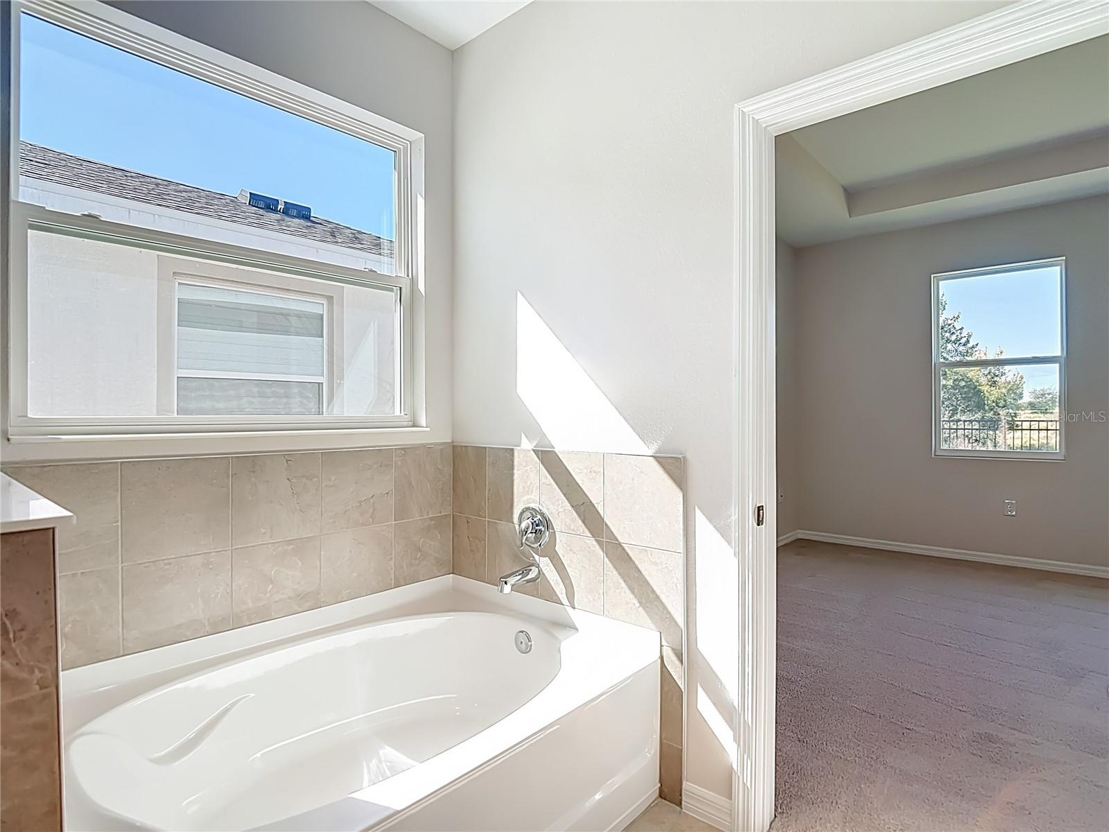 10471 BRIDGEGATE HEIGHTS LOOP — photo 16