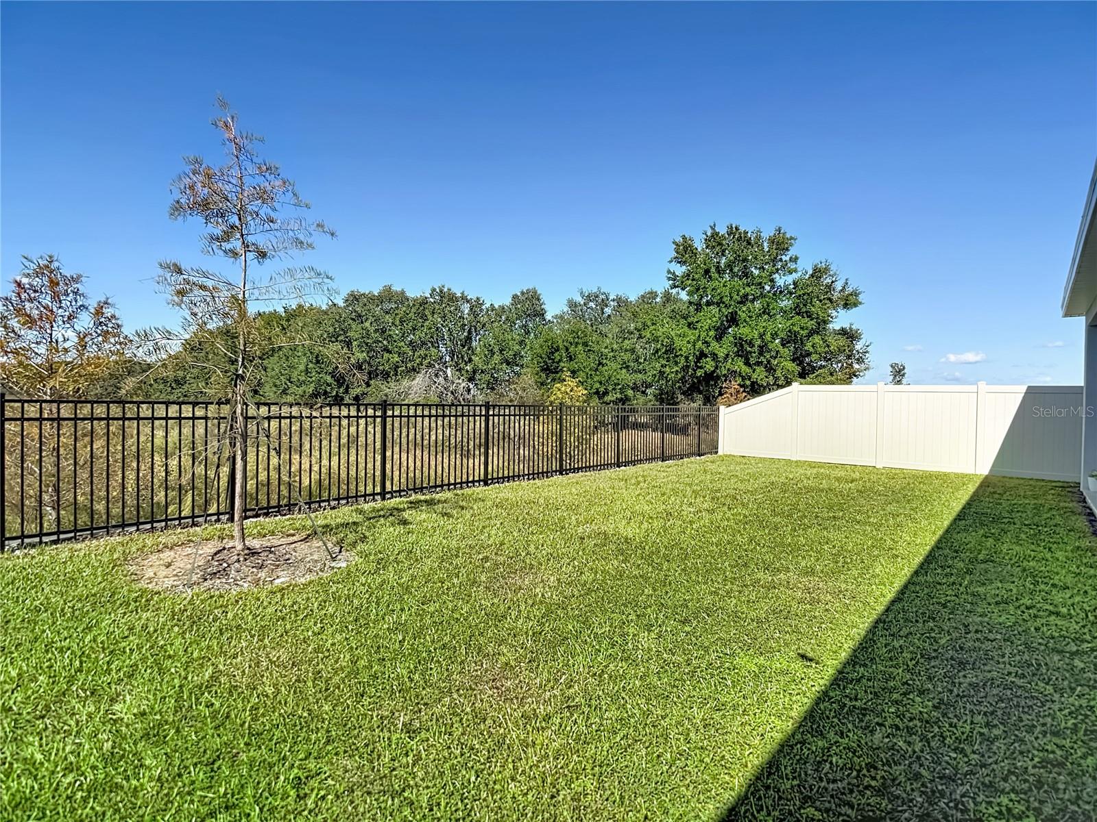10471 BRIDGEGATE HEIGHTS LOOP — photo 32