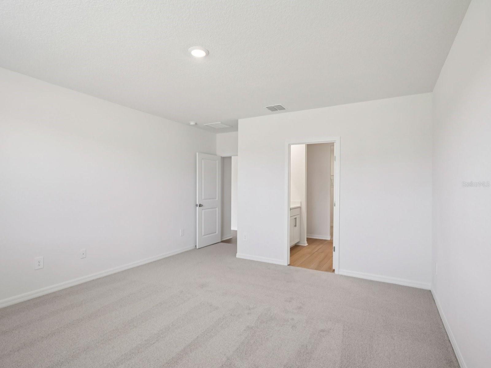 10425 ABUNDANCE GROVE WAY — photo 16