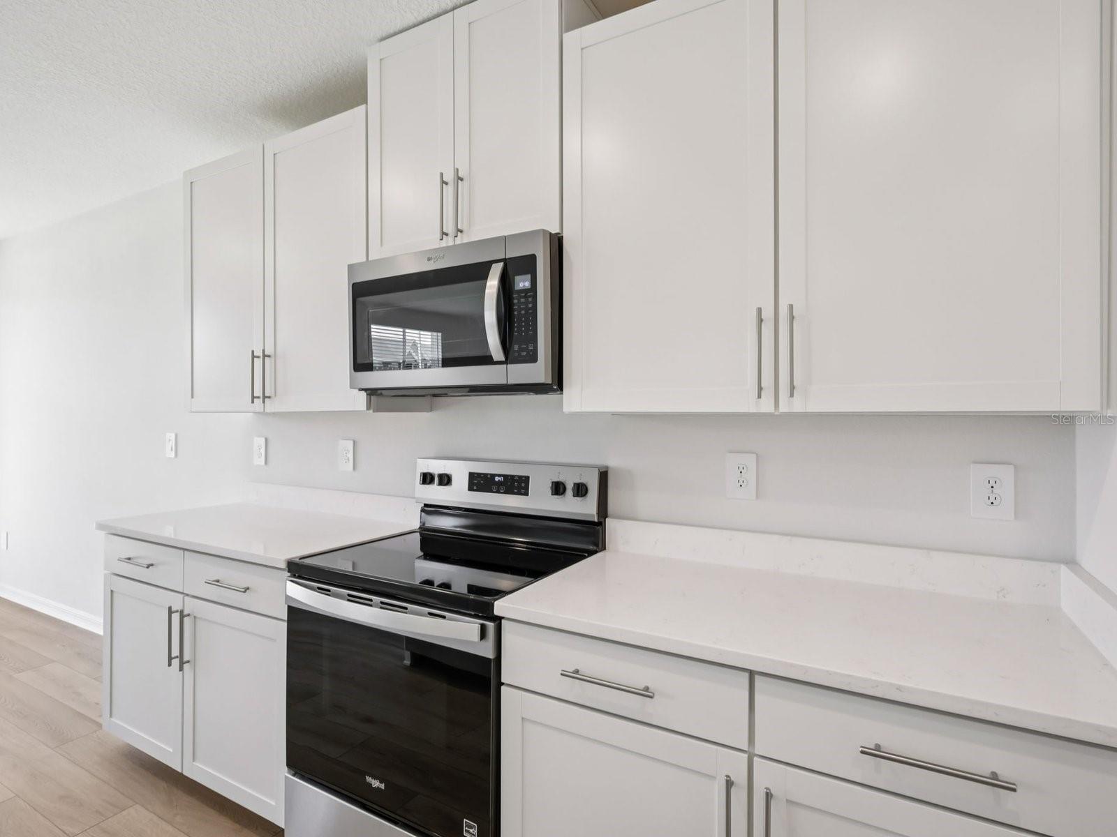 10425 ABUNDANCE GROVE WAY — photo 10