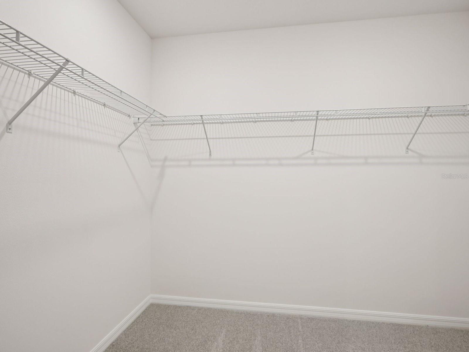 10425 ABUNDANCE GROVE WAY — photo 17