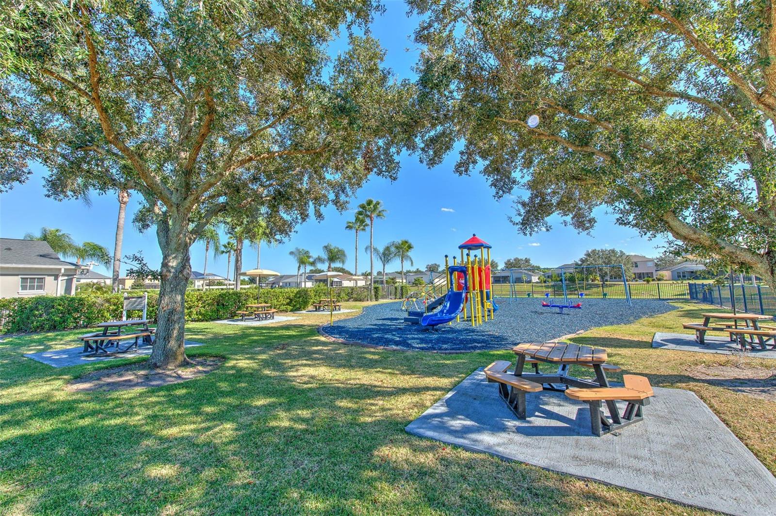 13326 EVENING SUNSET LN — photo 50