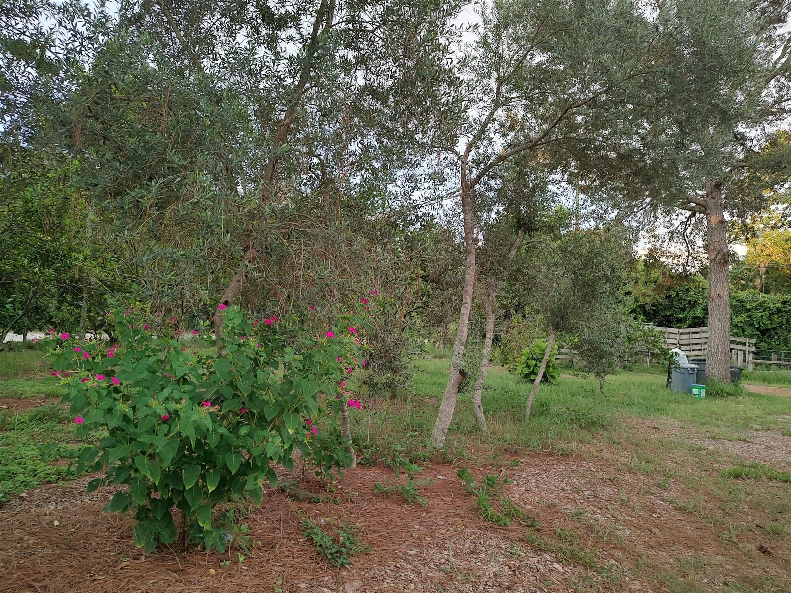 10342 SHADY DR — photo 35