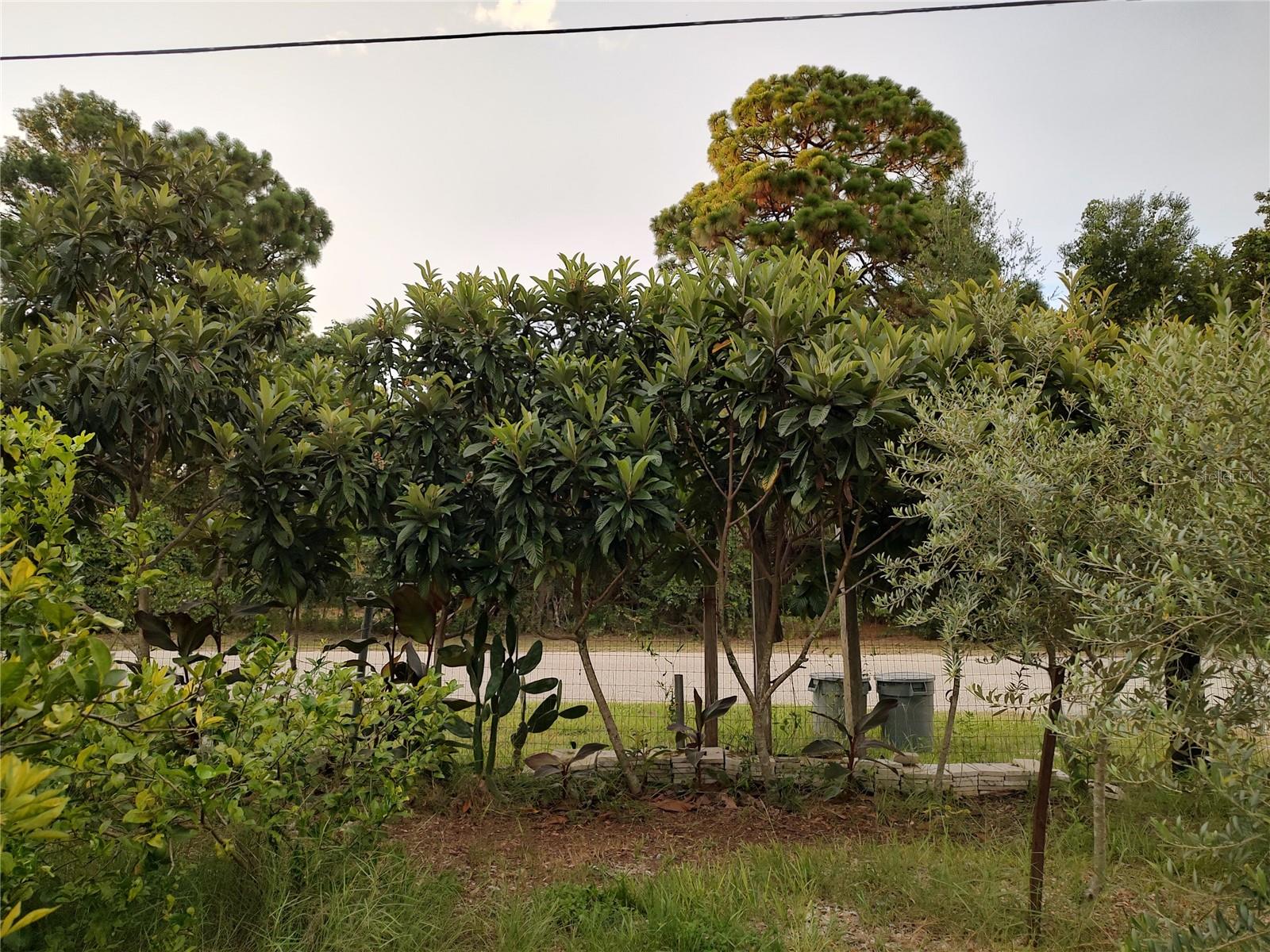 10342 SHADY DR — photo 38