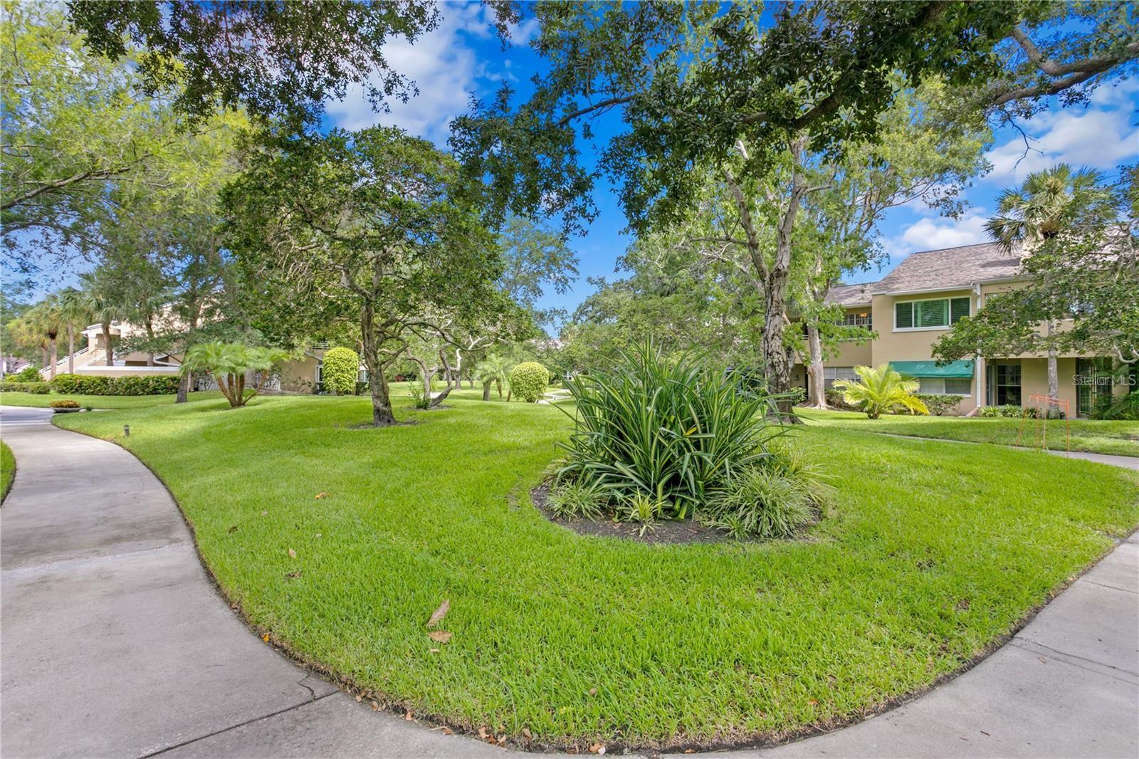 10823 INDIAN HILLS CT #33 — photo 34