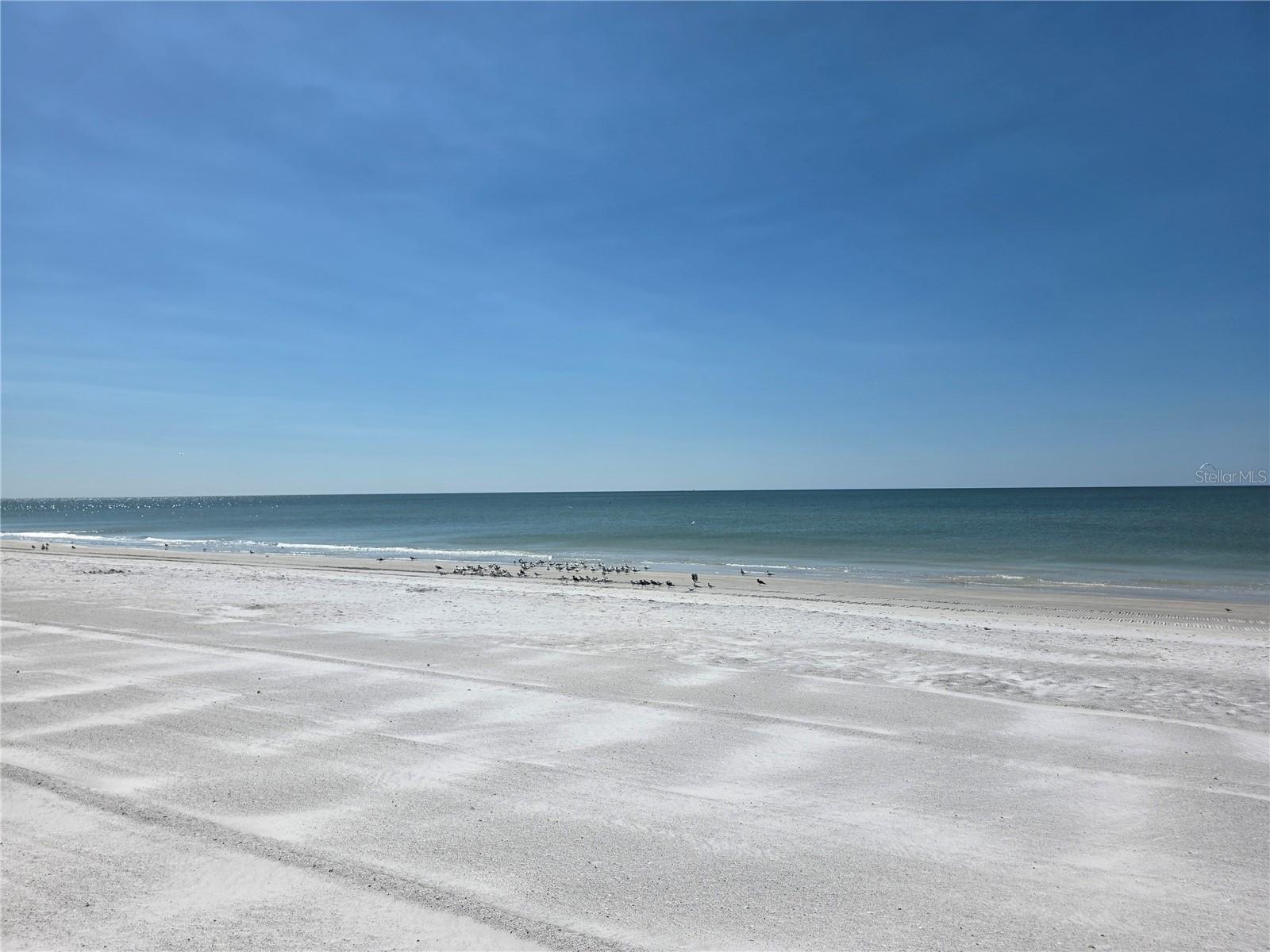 17580 GULF BLVD #311 — photo 31