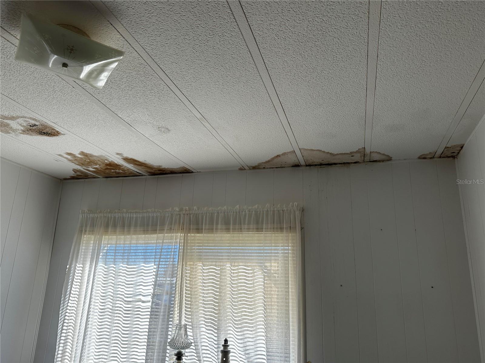 361 TAMPICO DR — photo 24