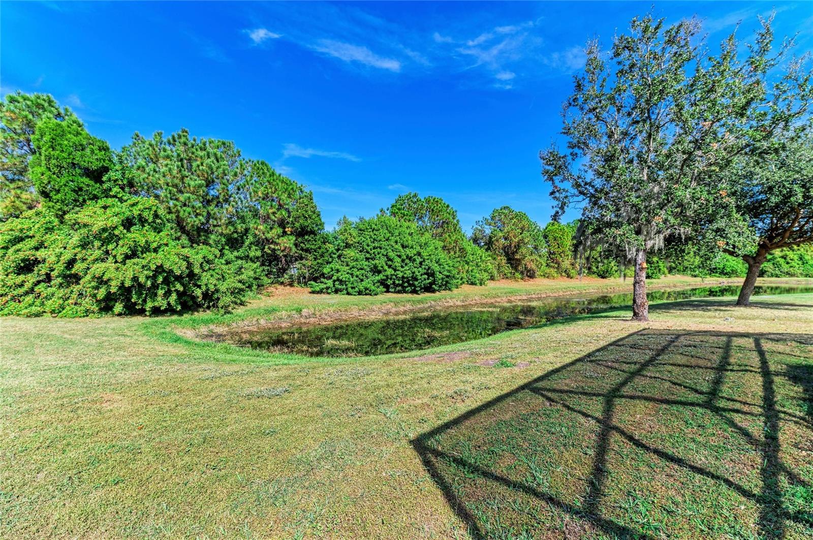 7114 CROMWELL PARK LN — photo 51