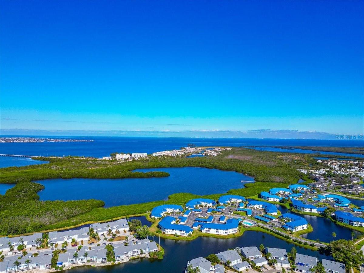 1216 SPOONBILL LANDINGS CIR — photo 36