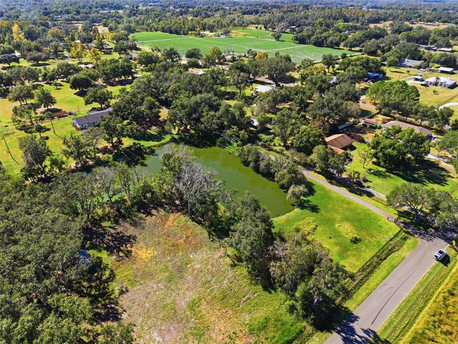 2506 HAWK GRIFFIN RD — photo 43