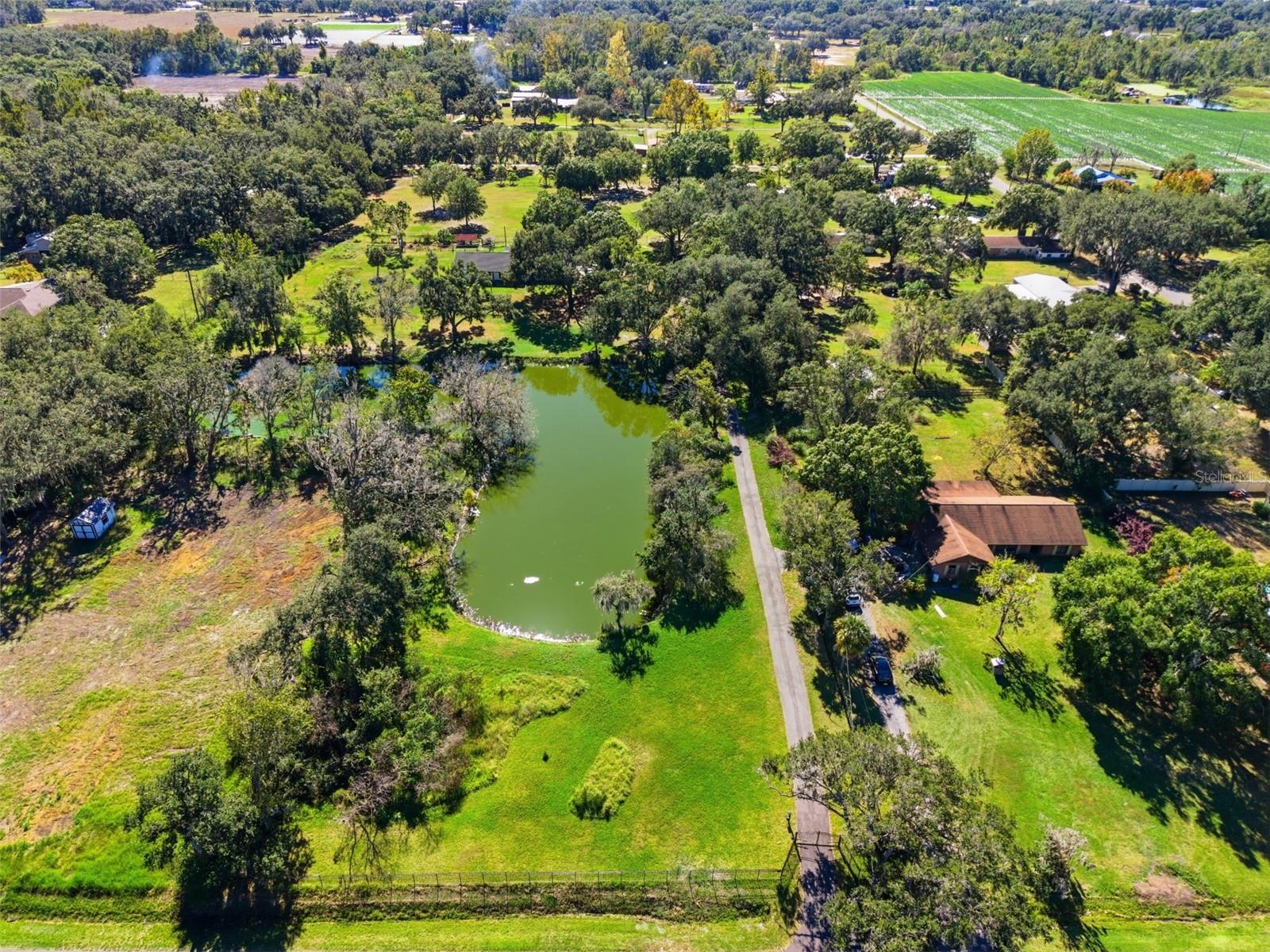 2506 HAWK GRIFFIN RD — photo 9