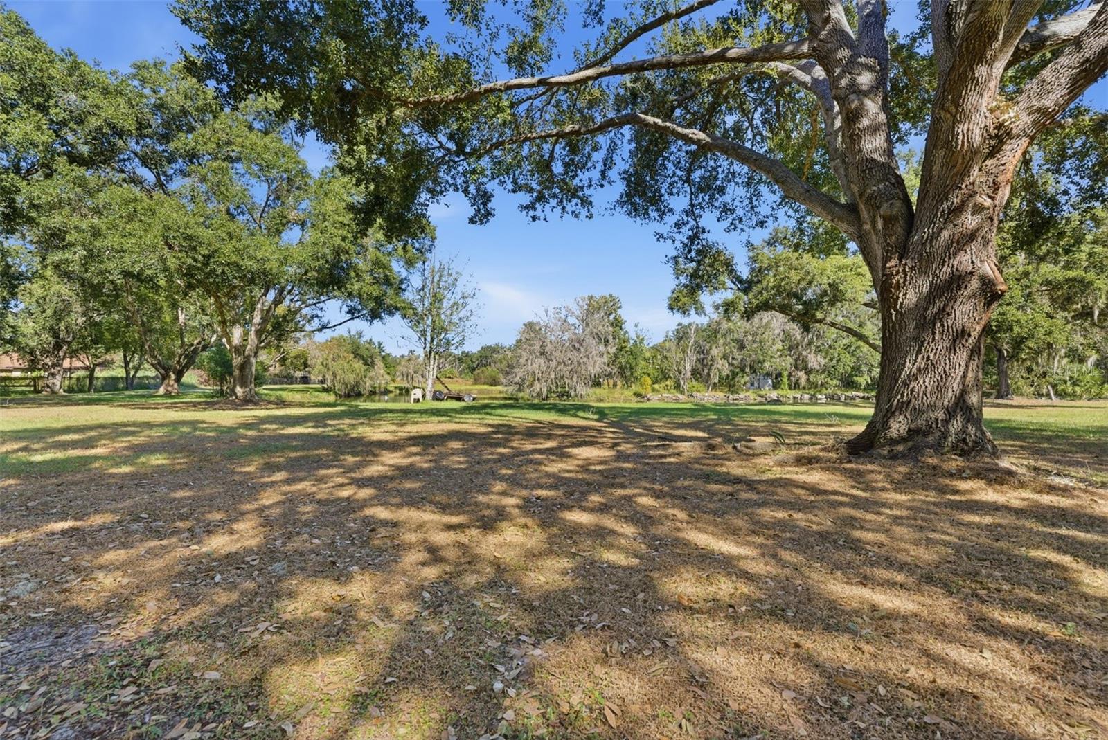 2506 HAWK GRIFFIN RD — photo 41