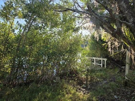 18909 ARIPEKA RD — photo 5