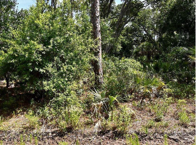 Lot 15 LOVERING AVE — photo 5