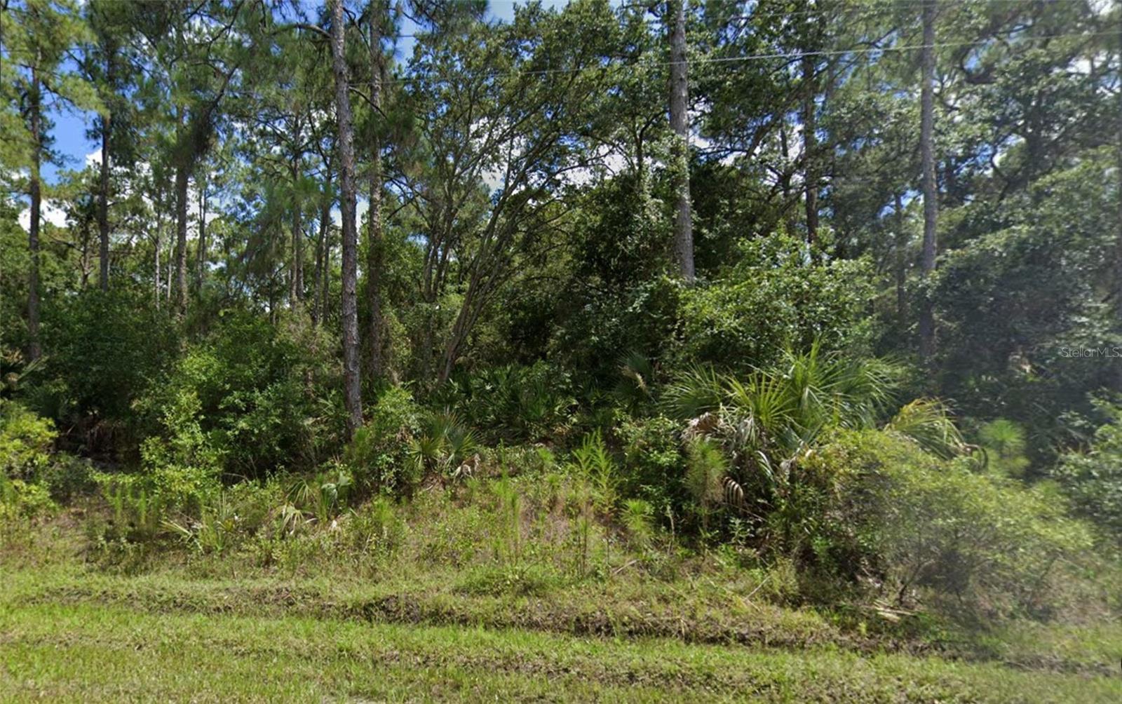 Lot 15 LOVERING AVE — photo 4