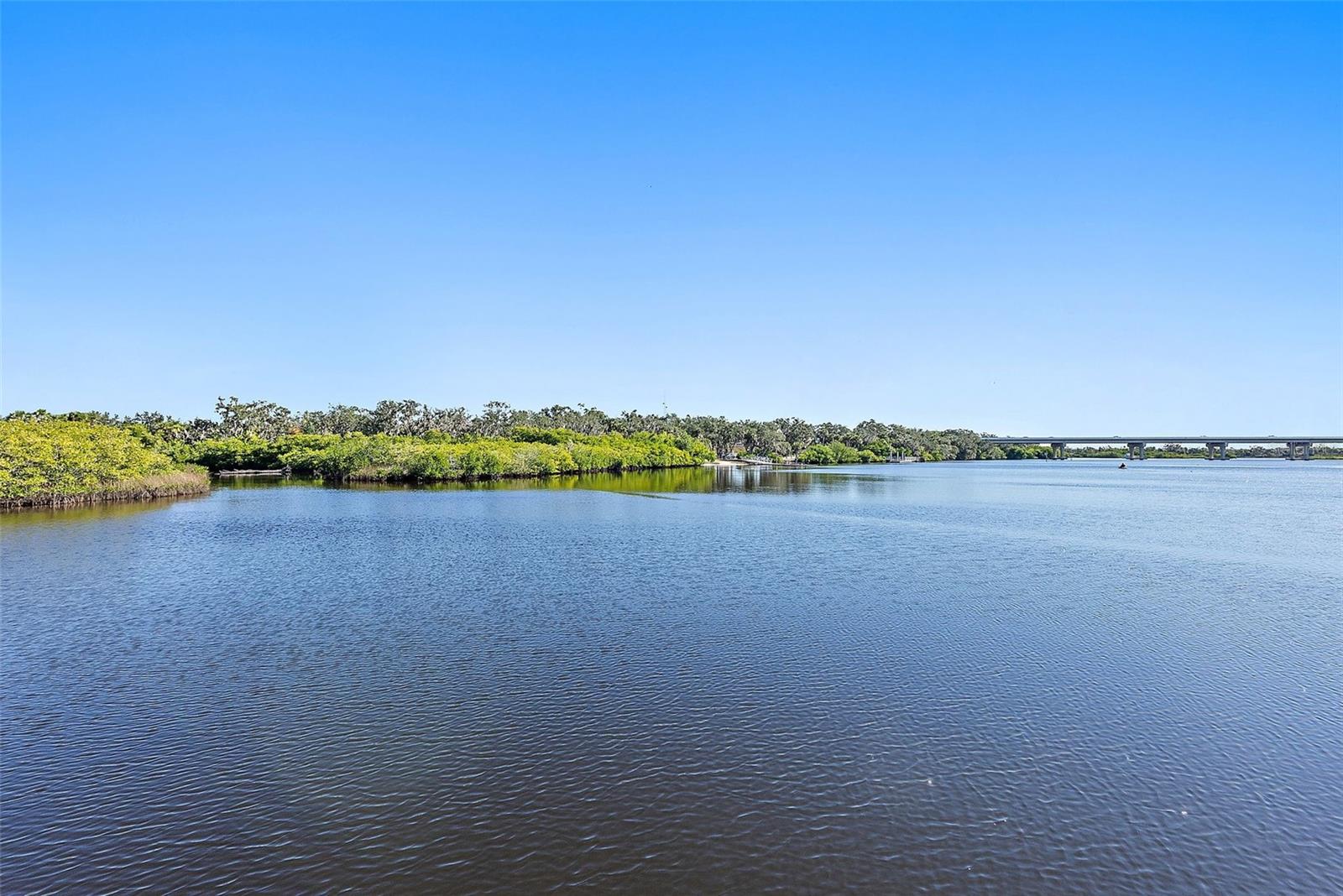 11739 RIVER SHORES TRL — photo 50