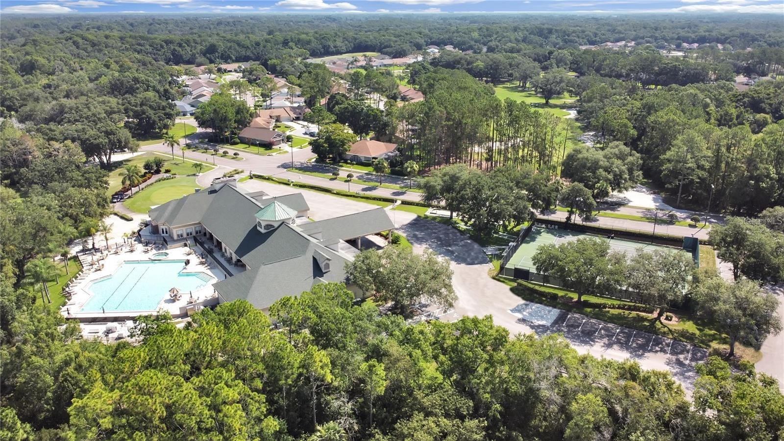 6543 PINE WALK DR — photo 43