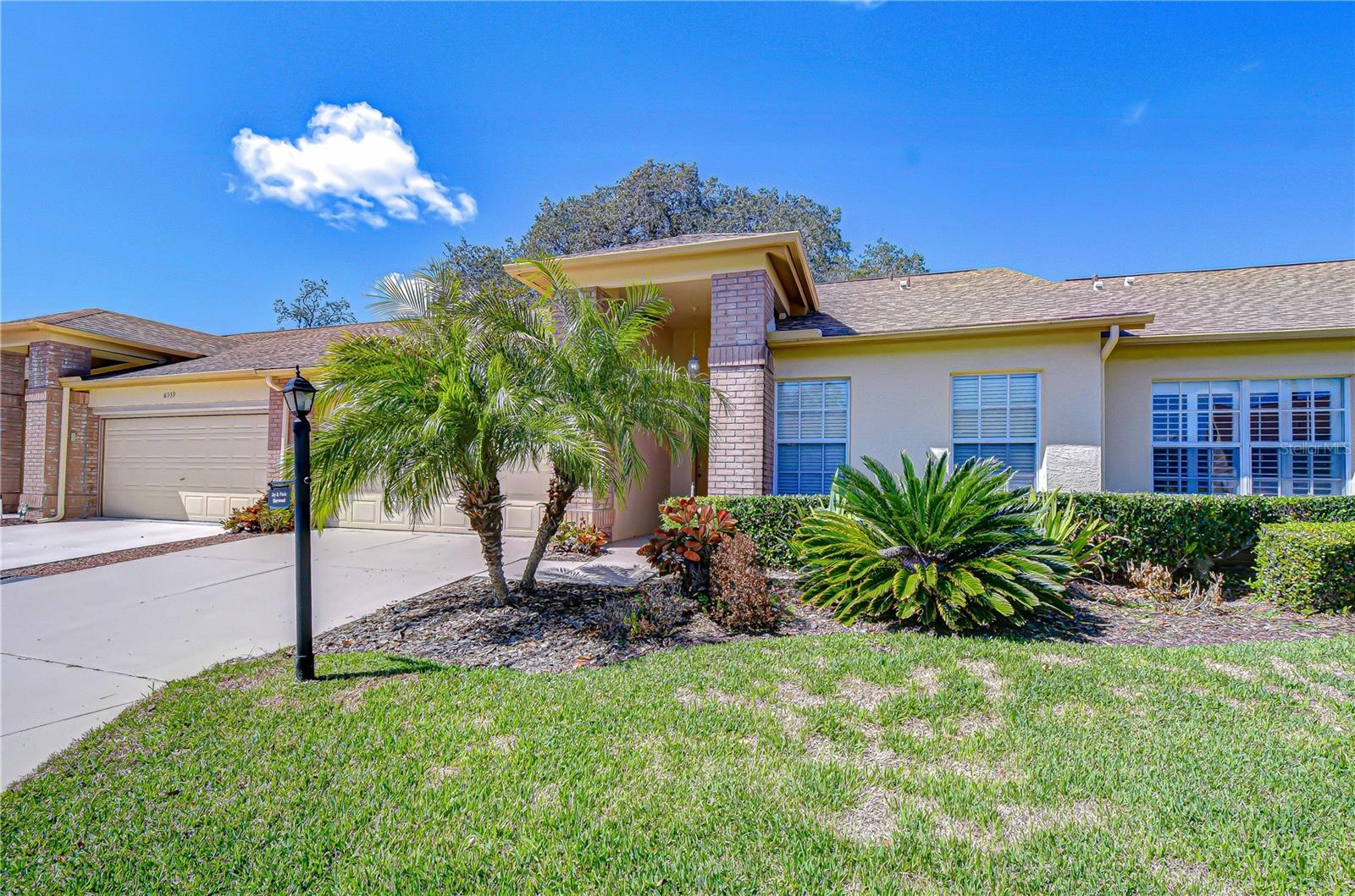6543 PINE WALK DR — photo 3