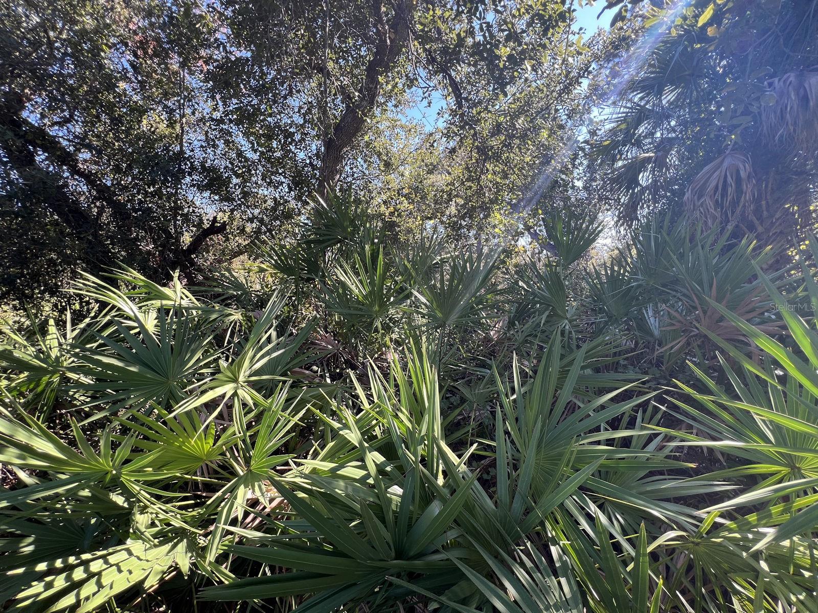 DE LEON DR — photo 5