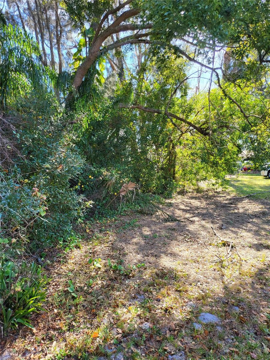 2131 COACHMAN RD NE — photo 13