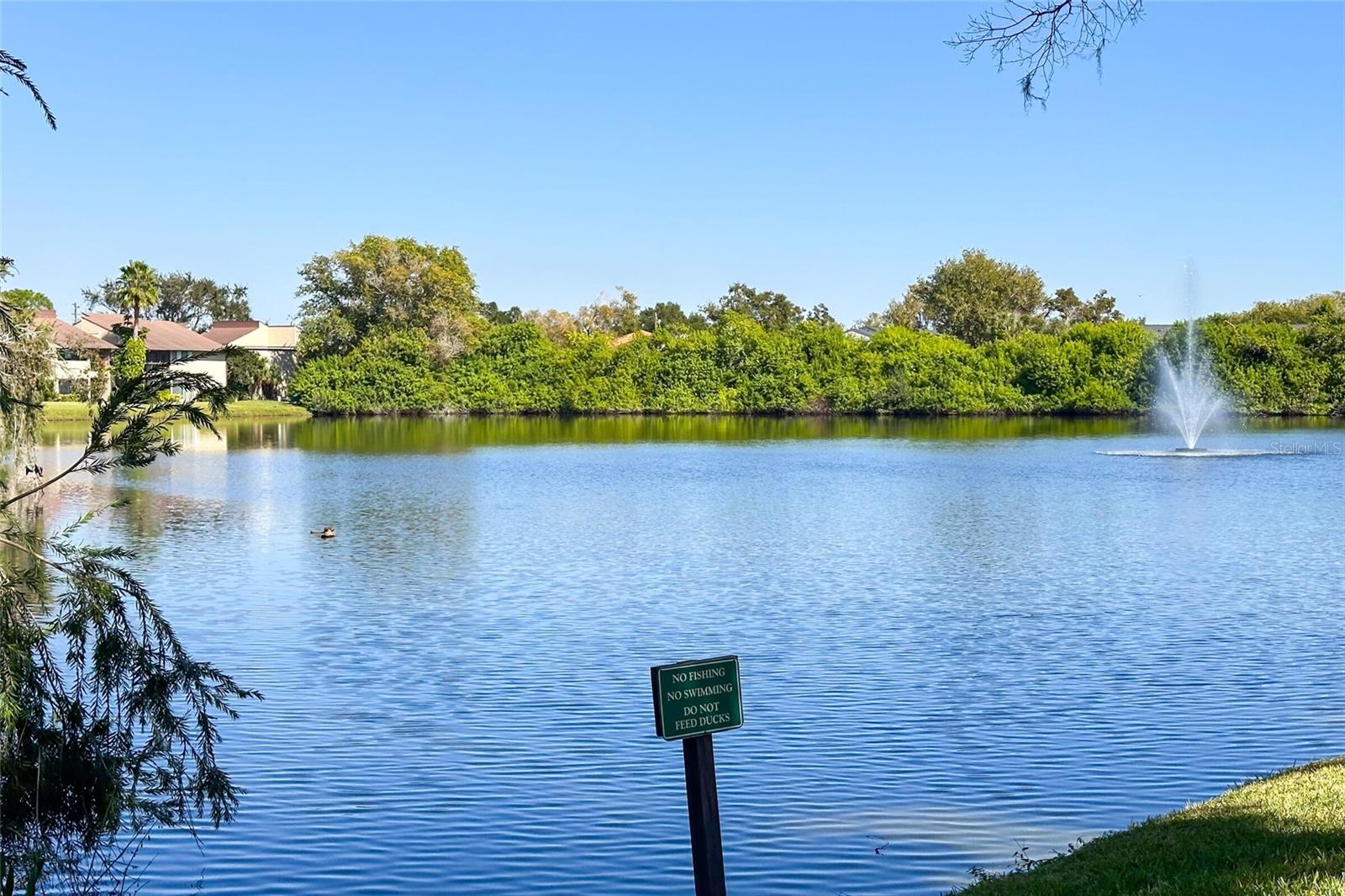 735 S VILLAGE DR N #206 — photo 41