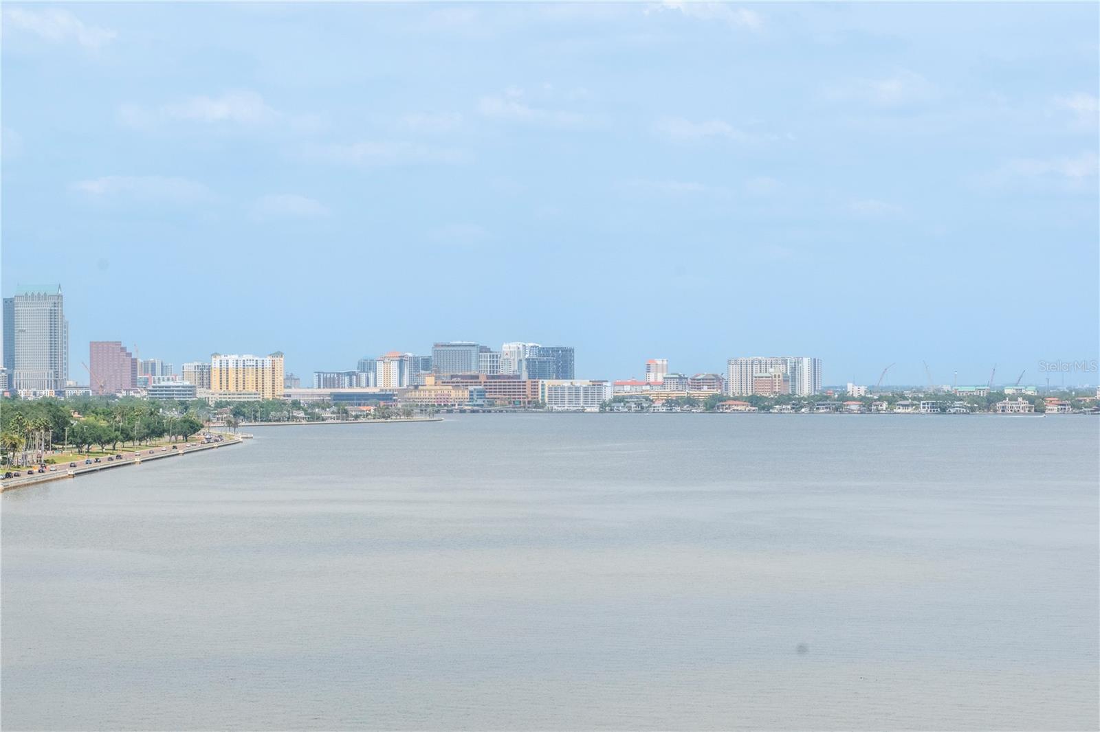 3101 W BAYSHORE BLVD #804 — photo 61