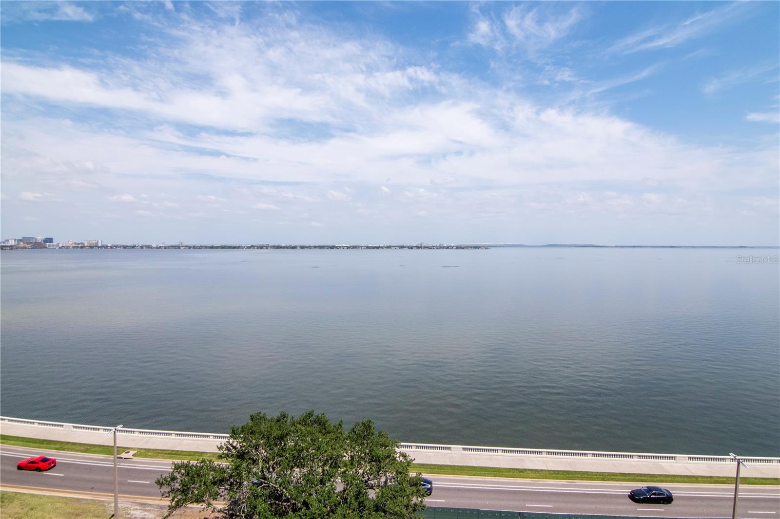 3101 W BAYSHORE BLVD #804 — photo 56
