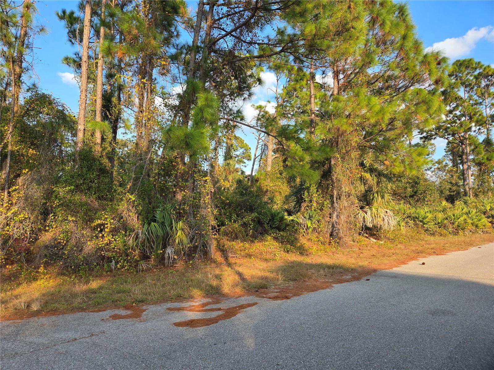 KENDSHA ST — photo 2