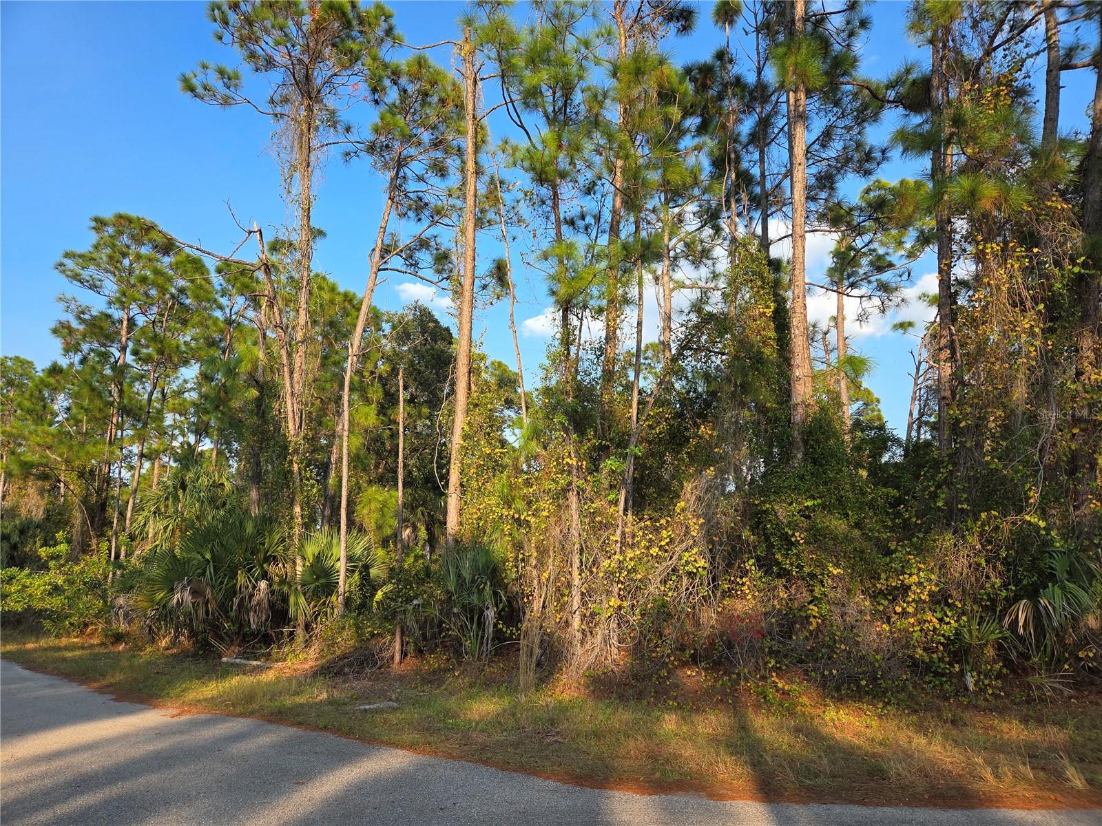 KENDSHA ST — photo 4