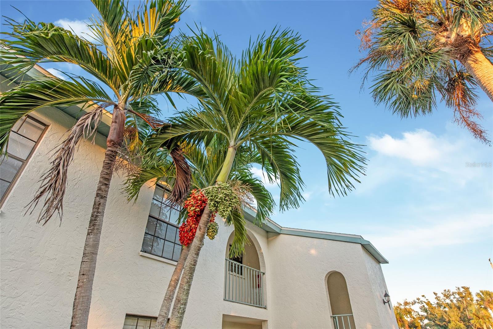 1730 MANASOTA BEACH RD #207 — photo 49