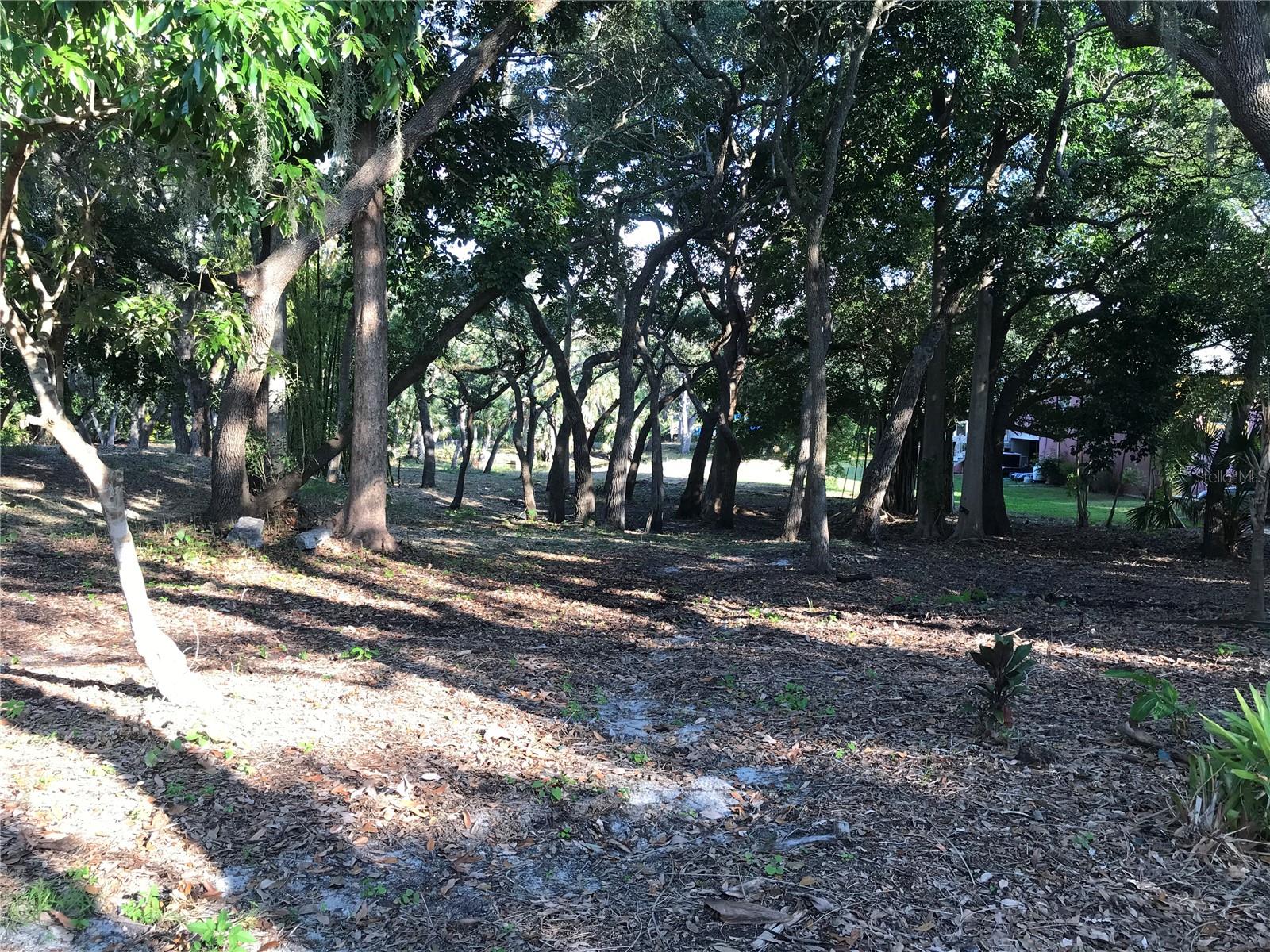 4407 S SHADE AVE — photo 13