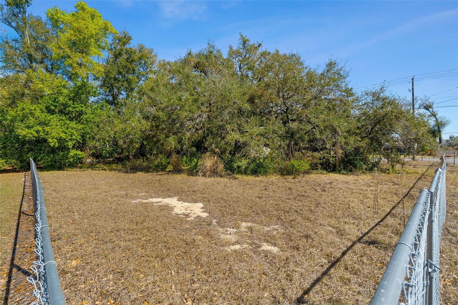 702 WESTWOOD DRIVE — photo 8