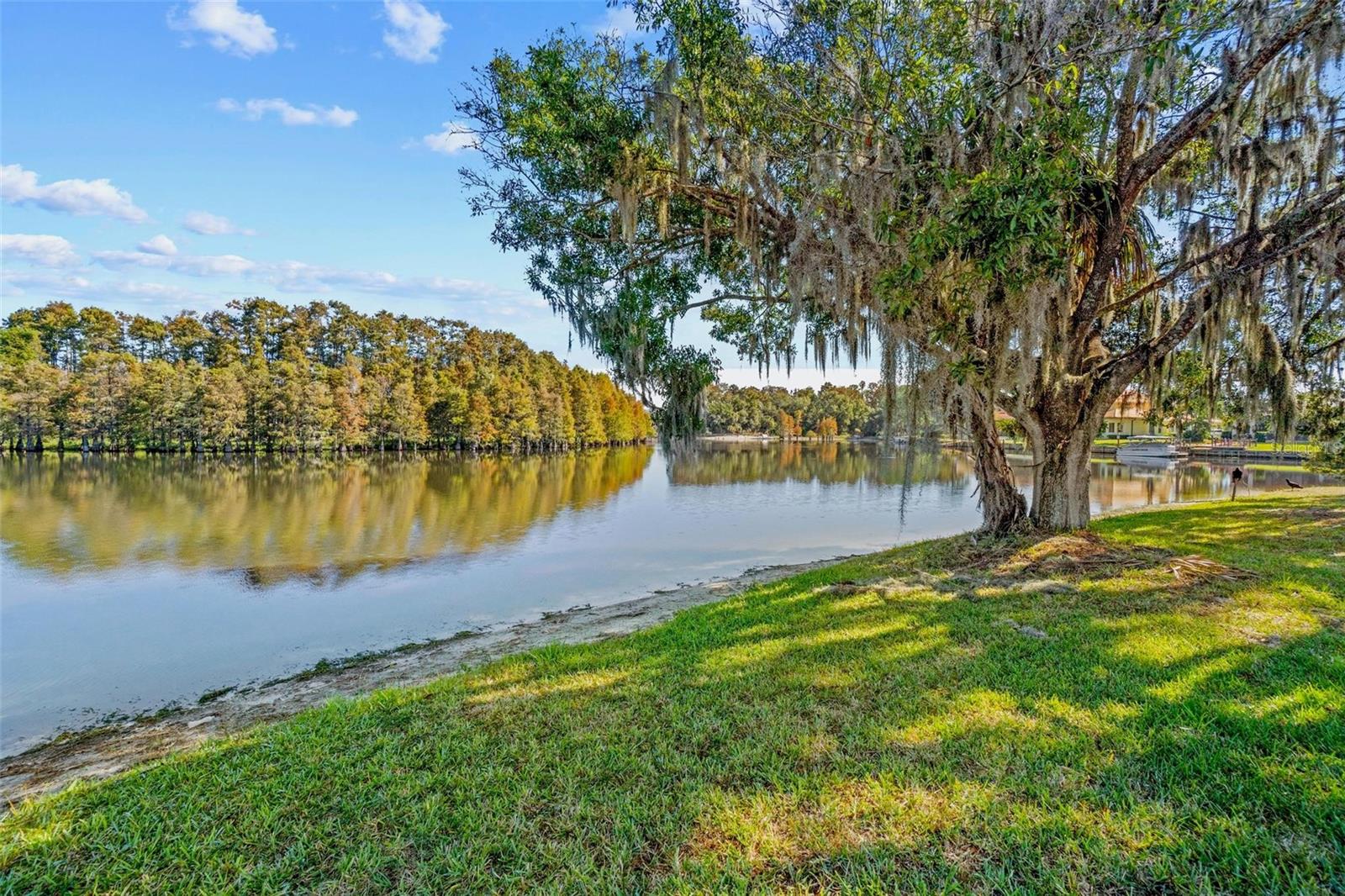 17903 BIMINI ISLE CT — photo 6